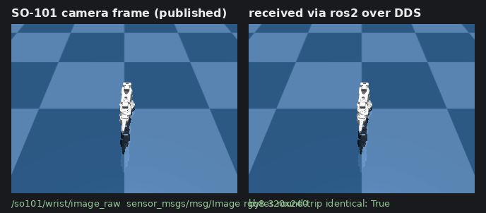 Hardware ROS 2 bridge: an SO-101 camera frame published by HardwareRosBridge and received by an independent ros2 subscriber over DDS, byte-identical
